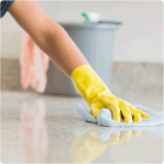 Belrose Cleaning Services