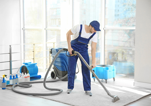 House Cleaner Frenchs Forest