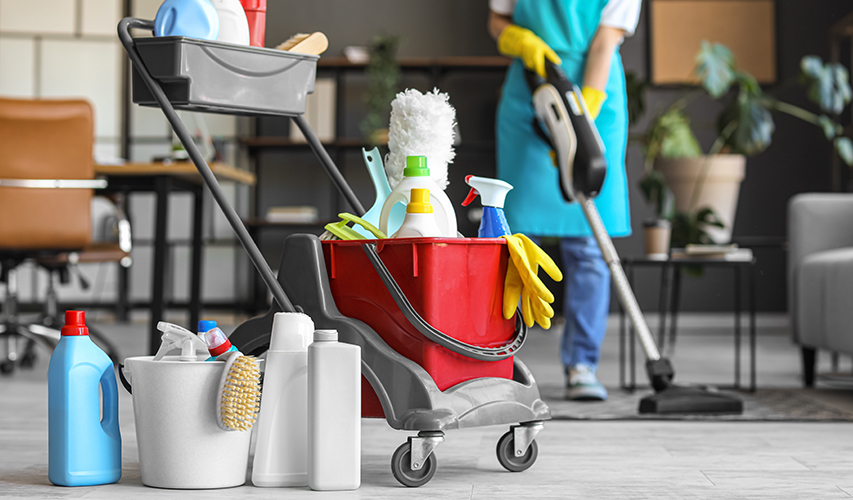 Dee Why Cleaning Services